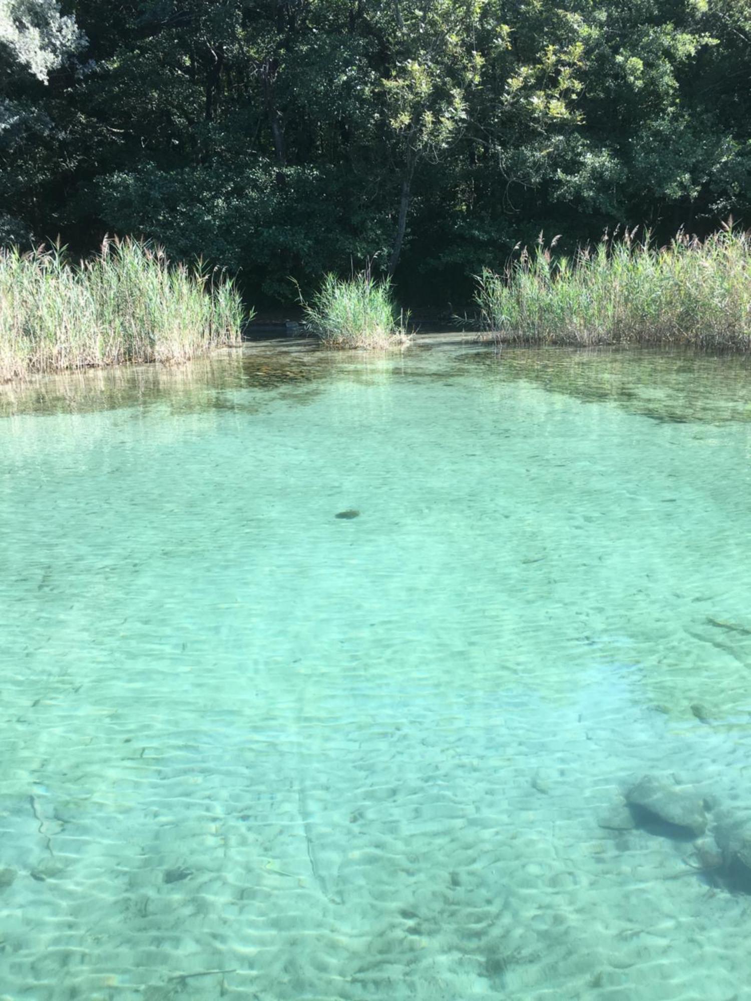 -Ortaflats- Appartamento L'Angolo Orta San Giulio Esterno foto